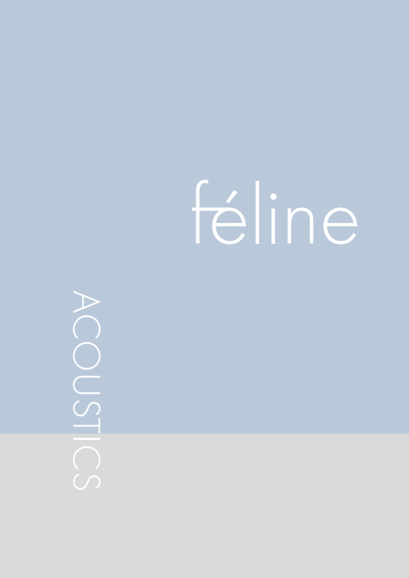 Acoustics book front